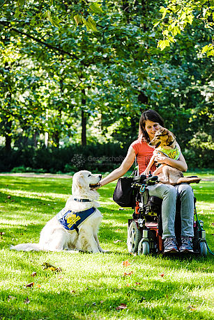 Assistenzhunde für Menschen mit Behinderung