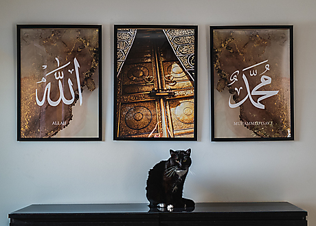 Beyond The Frame: Junge Perspektiven auf Vielfalt im Glauben - Katze vor Bildern mit islamischen Symbolen